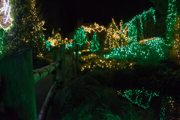 Christmas Lights at Mozirski Gaj Park, Slovenia – Winter Night Illumination © Darinko