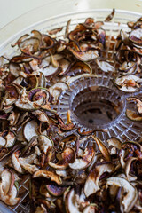 Numerous brown, shriveled fruit slices, likely apples or pears, are spread out on a clear plastic food dehydrator tray.