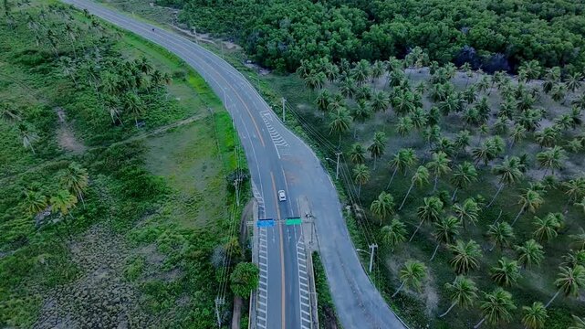 Na estrada BR 101
