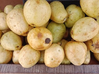 guava fruit pile show for sale in the market or Psidium guajava fruit pile pattern background 
