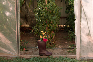 agricultural decor, flowers in boots
