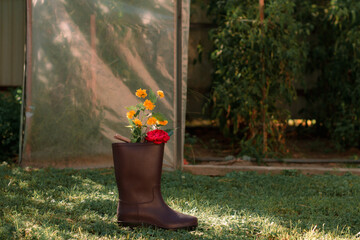 agricultural decor, flowers in boots