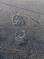 heart on the road