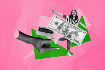Full 3d art pop image collage of happy businesswoman freelancer stand laptop device dollar banknote income capital progress