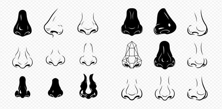 A collection of nose drawings, showcasing various shapes and styles in both black and white line art.