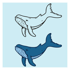 Naklejka premium vector illustration of a whale - outline and colored , minimalist 