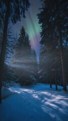Aurora borealis display snowy forest nature photography winter wonderland nighttime ethereal beauty