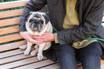 Man sitting on bench with pug in his arms. The photo symbolizes loyalty, care and emotional bond between human and animal through calm companionship and mutual trust.