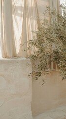 Elegant olive branch arrangement minimalist interior photo bright natural light close-up serenity