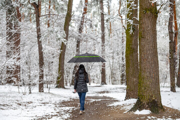 A woman walks under a black umbrella along a snowy path through a winter forest. The serene scene captures the quiet solitude of a walk in nature during snowfall.