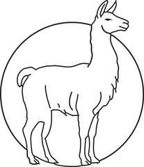 Minimal Llama Line Art | Elegant Wildlife Illustration | Modern Safari Animal Design