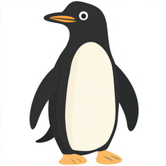 penguin on a white background