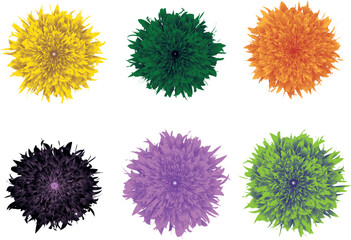 flower vector six varient pack