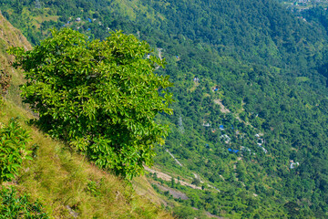 Naklejka premium View of Himalayan mountains from Tarey Bhir point, tourist spot, Sikkim, India. The word 'Bhir' means cliff in the local Nepal language,about 10,000 feet long path, a breathtaking view at the edge.
