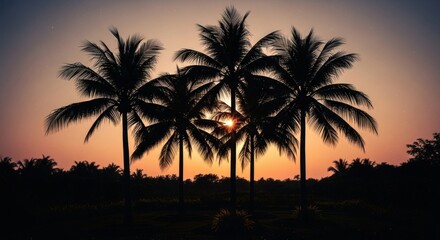 Palm trees silhouette against a vibrant sunset sky.