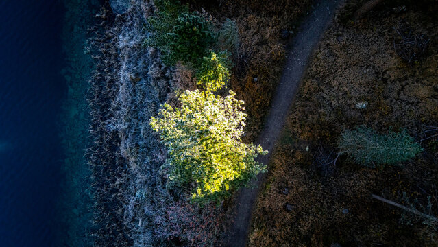 Drohnenaufnahme im Herbst im Engadin in Graub&uuml;nden in der Schweiz