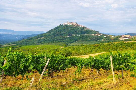 Picturesque hilltop town amidst lush vineyards