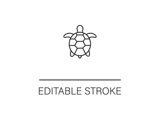 Elegant turtle line art, perfect for conservation projects or coastal branding with a clean, modern aesthetic and an editable stroke feature.
