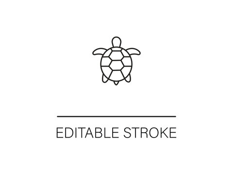 Elegant turtle line art, perfect for conservation projects or coastal branding with a clean, modern aesthetic and an editable stroke feature.