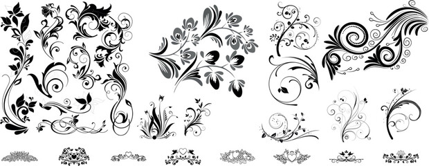 Floral Decorative Elements Vector Set – Elegant Hand Drawn Flowers, Leaves, Branches and Botanical Ornaments Collection