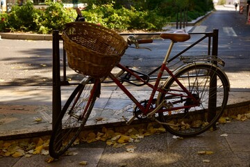 old bicycle in the street