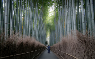 Fototapeta premium Serene pathway through a lush bamboo forest in japan