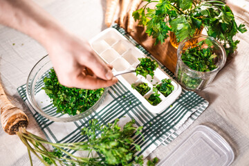 Preparing fresh parsley leaves to freezing for winter.