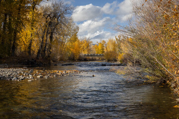 river in sun valley in central idaho near ketchum taken during the fall with colorful leaves as the season changes 