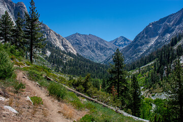 Hiking trail in the Mountains, Kings Canyon National Park, California