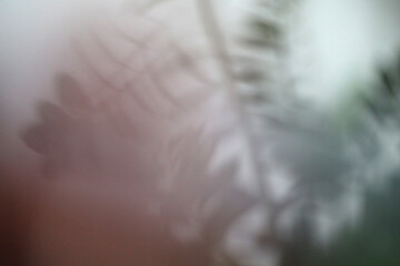 Obraz premium Soft focus grain gray blur texture wall with refraction. Light and shadow smoke abstract gradient reflection rays background.