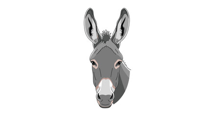 Frontal illustration of a gray donkey's head with alert ears and a light muzzle, isolated on a white background.