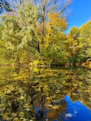 colorful autumn trees reflection on the lake surface, golden fall in the park