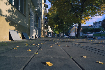 city ​​street autumn yellow leaves of trees