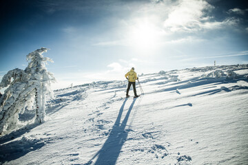 trekking in winter wonderland with snowy fir trees in the mountains