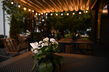 street cafe evening autumn flowers on the tables