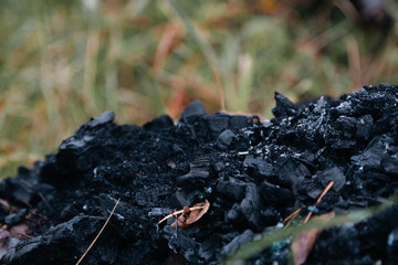 charcoal from the grill on grass
