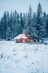 wooden house in winter surrounded by snow covered fir trees
