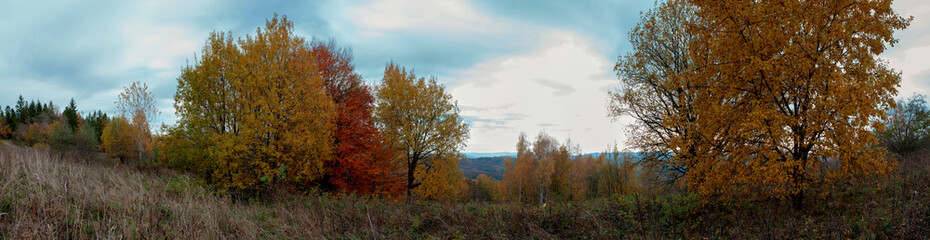 Panoramic nature landscape, soft pastel colors, dream nature, sunset autumn background, peaceful amazing nature panorama