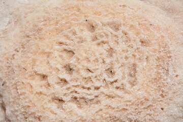 Close-up of unique crystalline salt texture on the shore of the Dead Sea. Natural pattern and geological background in pale pink and white tones.
