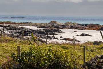 Irish beach scene with rocks and green grass with fence