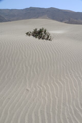 Sandwüste auf Lanzarote