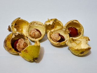 Exotic peeled matoa fruit (Pometia pinnata) showing its glossy brown seed and pale, cracked aril against the broken yellow-green husk on a white background.