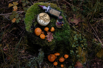 moon amulet, witch bottles, mushrooms on tree stump in forest, natural background. Magic ritual,...