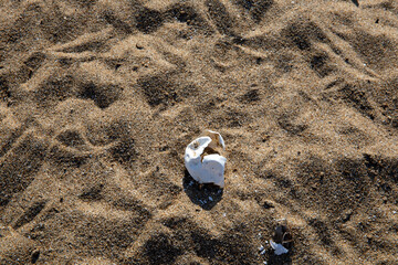 Obraz premium Kefalonia- Greece - August 15, 2025: Mounda beach needs Skala, Kefalonia, Greece.