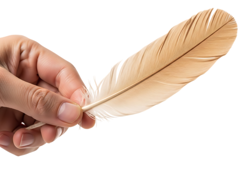Hand holding a light brown feather isolated on transparent background, symbol of lightness