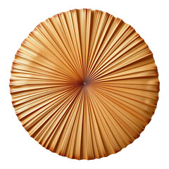 Radiant Circular Pattern of Golden Fan-Like Strips on Dark Background