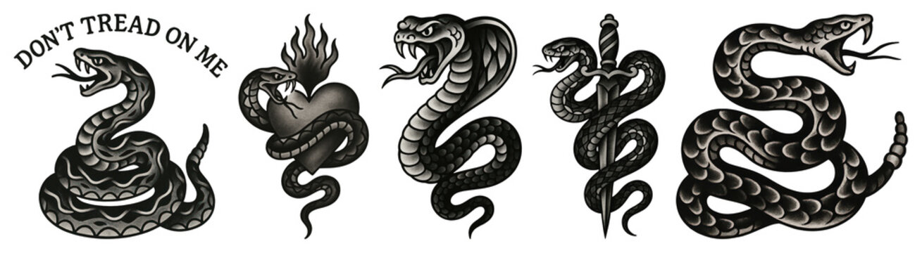 PNG Vintage snake tattoo designs, element set on transparent background