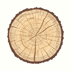 Cracked end of a wooden log. Vector illustration of tree cross section  with cracks. Texture of tree annual growth rings. Detailed rough organic edges of the bark.