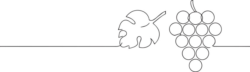 Grape fruit with leaf one continuous line art, Vector illustration, One line art, Line art graphic style