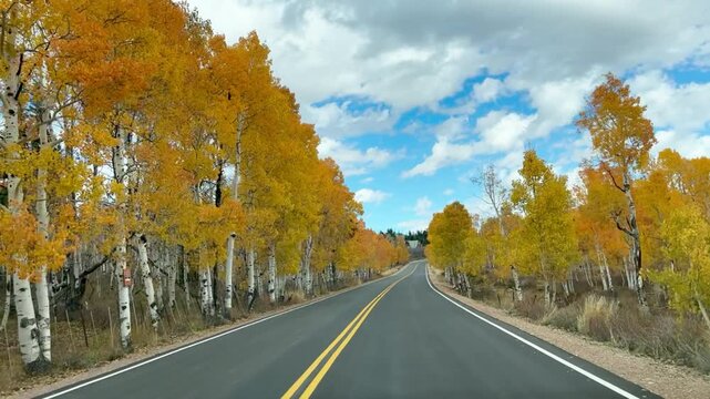 Dixie National Forest Autumn Colors